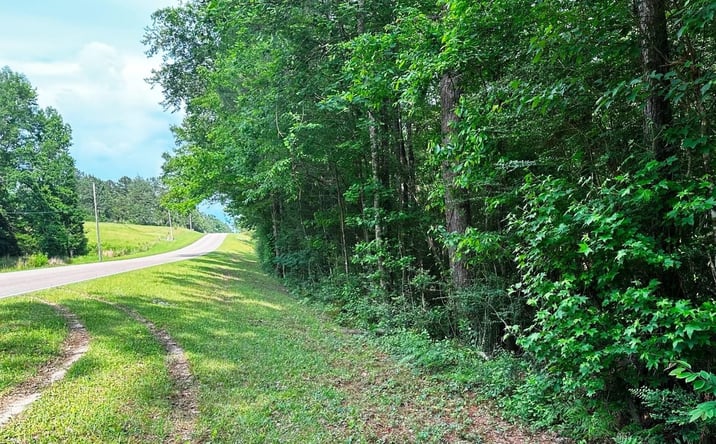 Pictures of Land property located at 0 Ollie Williams Road, Hattiesburg, MS 39401 for sales - image #1