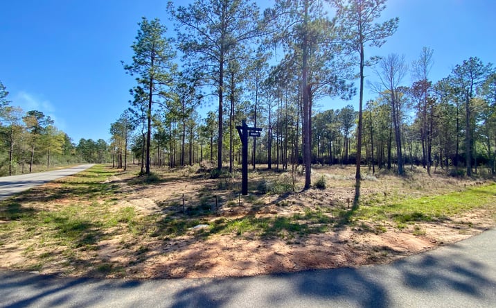 Pictures of Land property located at 9 Monarch Circle, Carriere, MS 39426 for sales - image #1
