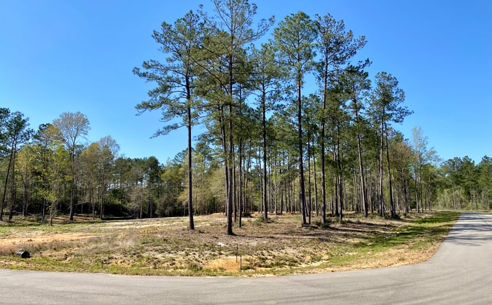 Pictures of Land property located at 10 Monarch Circle, Carriere, MS 39426 for sales - image #1