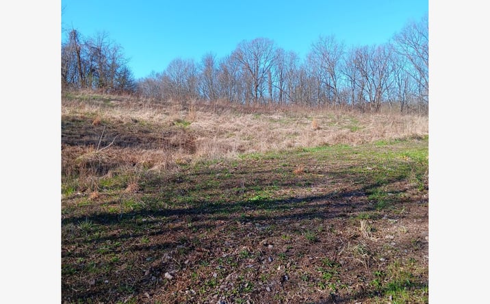 Pictures of Land property located at 0 Setty Rd, Albany, OH 45710 for sales - image #1