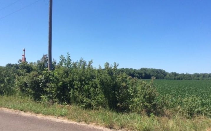 Pictures of Land, Special Purpose property located at 39502 E Gillespie Road, Oak Grove, MO 64075 for sales - image #1