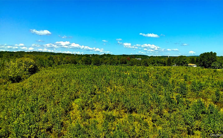 Pictures of Land property located at N Vernon, Athens, NY 12015 for sales - image #1
