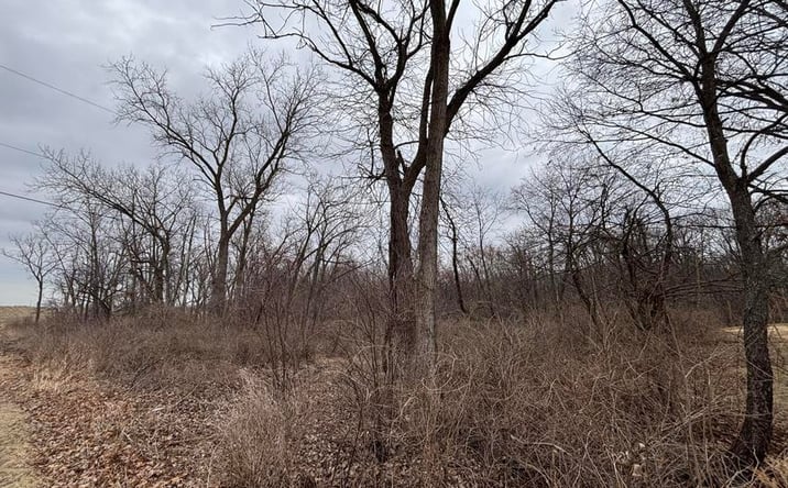 Pictures of Land property located at 11905 McCook St, Cedar Lake, IN 46303 for sales - image #1
