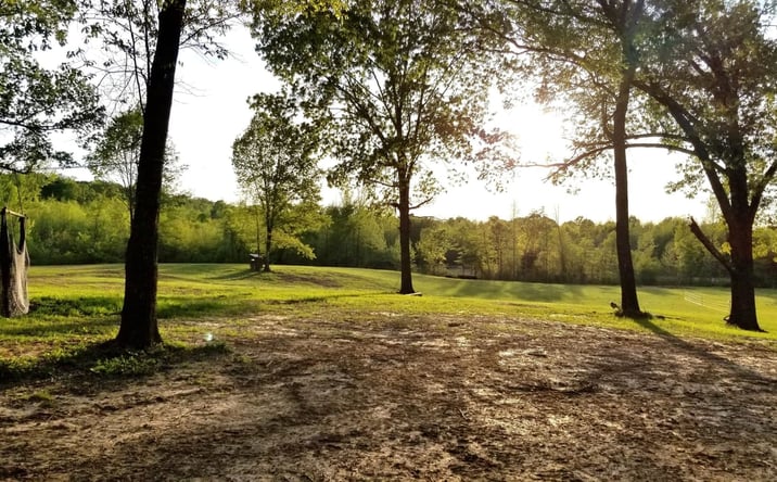 Pictures of Land property located at 9886 & 9992 Bowling Green Rd, Durant, MS 39063 for sales - image #1