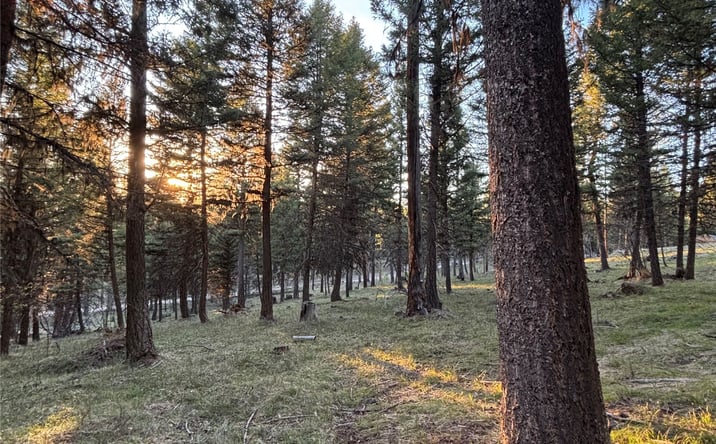 Pictures of Land property located at 139 Montana View Drive, Seeley Lake, MT 59868 for sales - image #1
