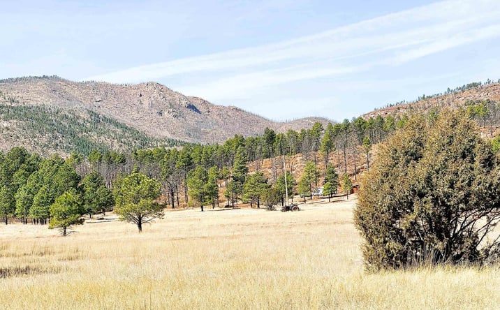 Pictures of Land property located at 158 W Roxie Road, Las Vegas, NM 87701 for sales - image #1