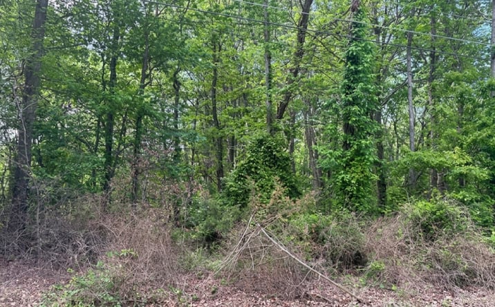 Pictures of Land property located at Parcel on Lenapah Rd, Chestertown, MD 21620, Chestertown, MD 21620 for sales - image #1