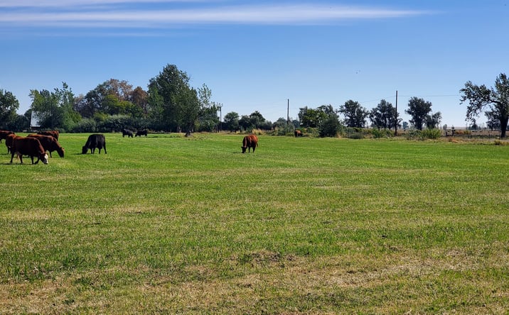 Pictures of Land property located at 68499 Kunze Ln, Boardman, OR 97818 for sales - image #1