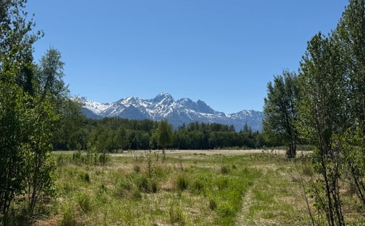 Pictures of Land property located at 15270 E Peaceful Ln, Palmer, AK 99645 for sales - image #1