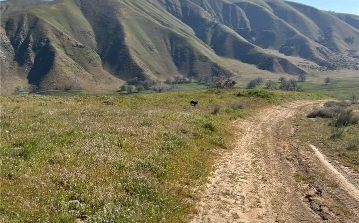 Pictures of Land property located at Lebec, Lebec, CA 93243 for sales - image #1