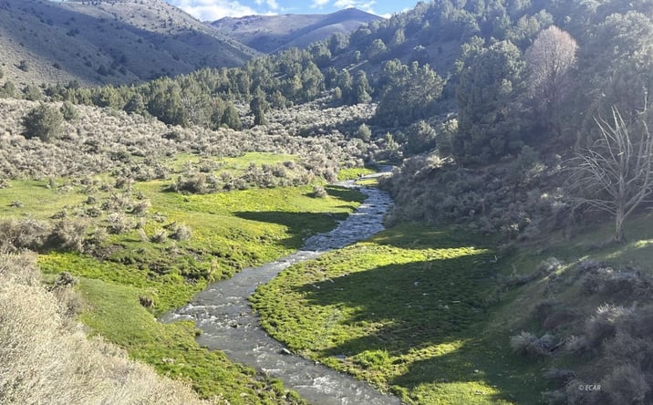 Pictures of Land property located at Mill Creek Road, Battle Mountain, NV 89820 for sales - image #1