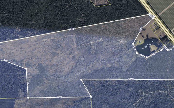 Pictures of Land property located at 5627 SC-38, Blenheim, SC 29516 for sales - image #1