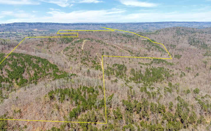 Pictures of Land property located at 160 Rock Bridge Rd, Gallant, AL 35972 for sales - image #1