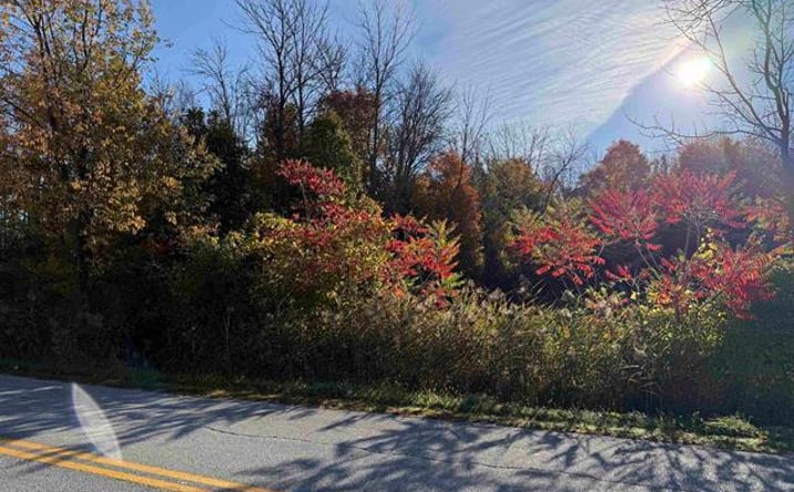 Pictures of Land property located at 512 Middle Road, Swanton, VT 05488 for sales - image #1