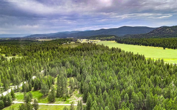 Pictures of Land property located at 546 Bald Rock Road, Evergreen, MT 59901 for sales - image #1