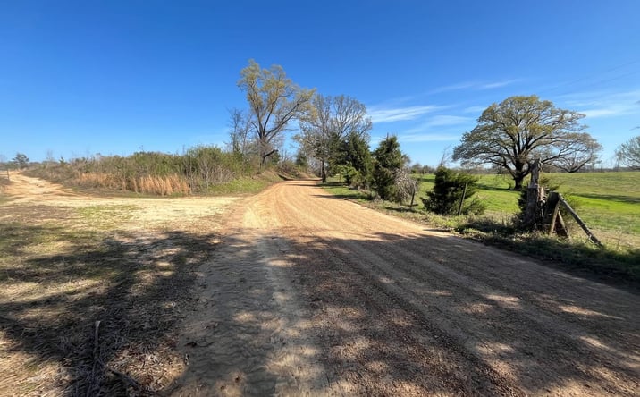 Pictures of Land property located at 0 Malmaison Rd, Carrollton, MS 38917 for sales - image #1