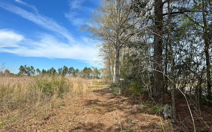 Pictures of Land property located at 0 Pop Hill Road, Poplarville, MS 39470 for sales - image #1