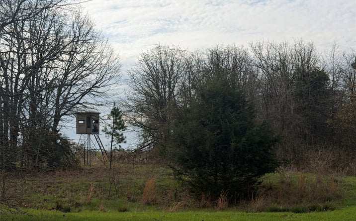 Pictures of Land property located at 5 1960 Road, Antlers, OK 74523 for sales - image #1