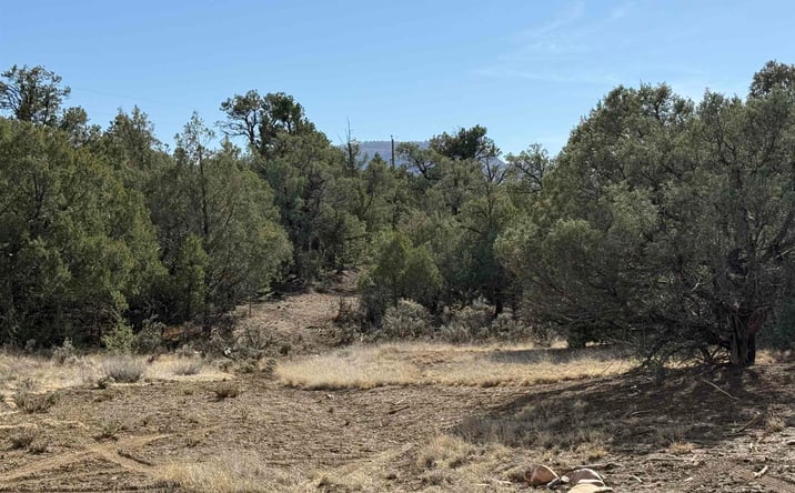 Pictures of Land property located at Christy Lane Lane, Los Ojos, NM 87551 for sales - image #1