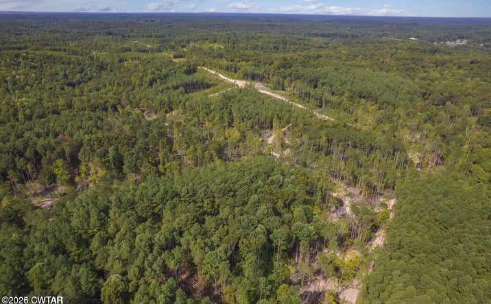 Pictures of Land property located at N Old Cave Springs Road, Henderson, TN 38340 for sales - image #1