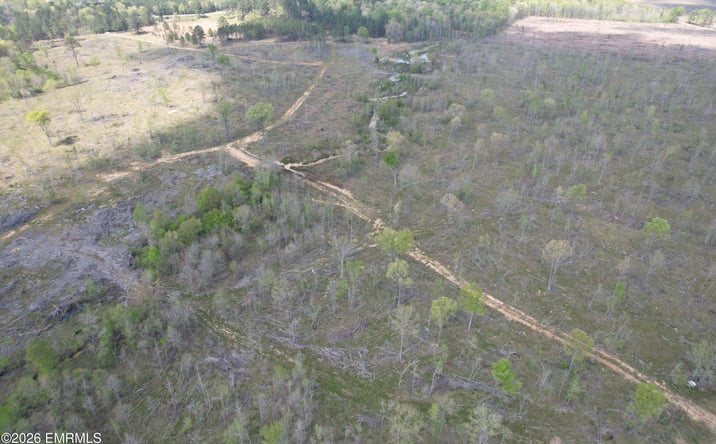 Pictures of Land property located at 0000 Hayes Nute Road, Waynesboro, MS 39367 for sales - image #1
