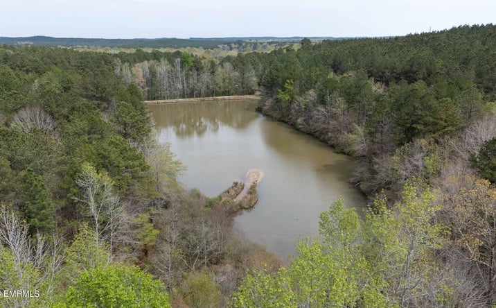 Pictures of Land property located at MS-494, Little Rock, MS 39337 for sales - image #1