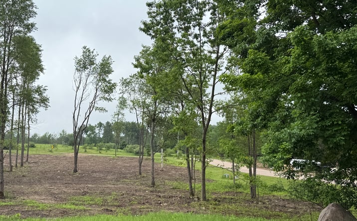 Pictures of Land property located at Jason Street, Lot 13, Wittenberg, WI 54499 for sales - image #1