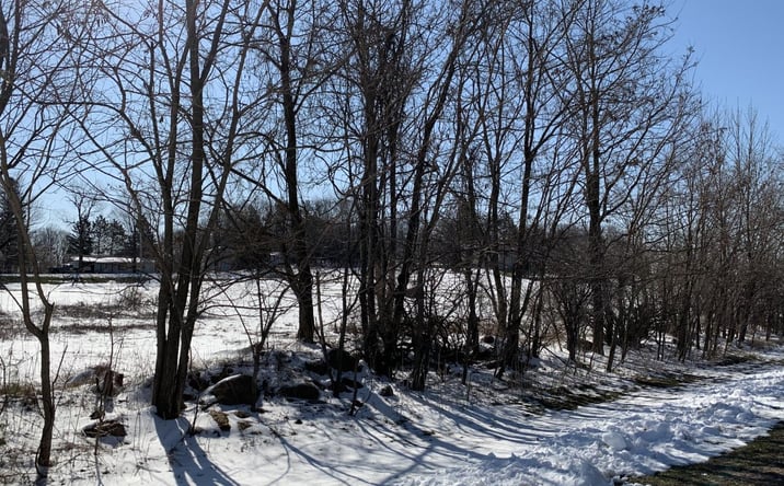 Pictures of Land property located at Home St, Wittenberg, WI 54499 for sales - image #1