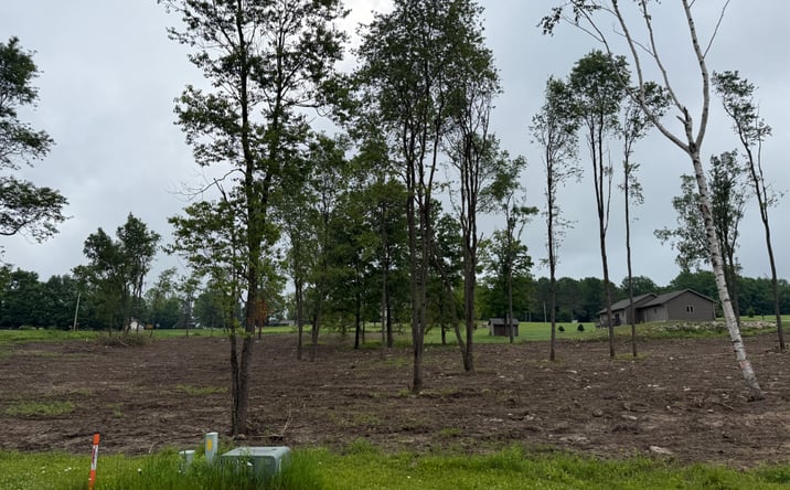Pictures of Land property located at Lot 7, Nicholas Avenue, Wittenberg, WI 54499 for sales - image #1