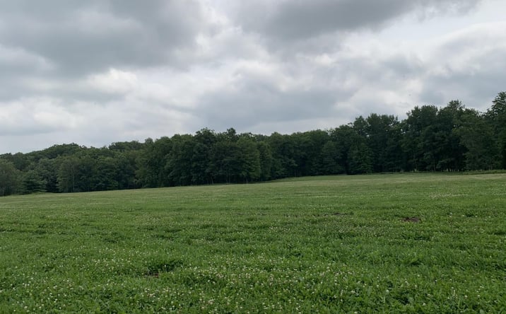 Pictures of Land property located at 178375 Mission Lake Rd, Hatley, WI 54440 for sales - image #1