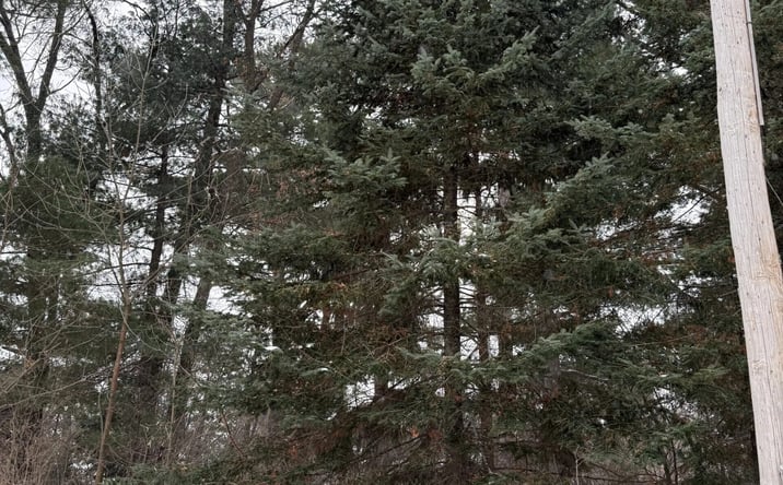 Pictures of Land property located at 2007 Bloedel Ave, Schofield, WI 54476 for sales - image #1