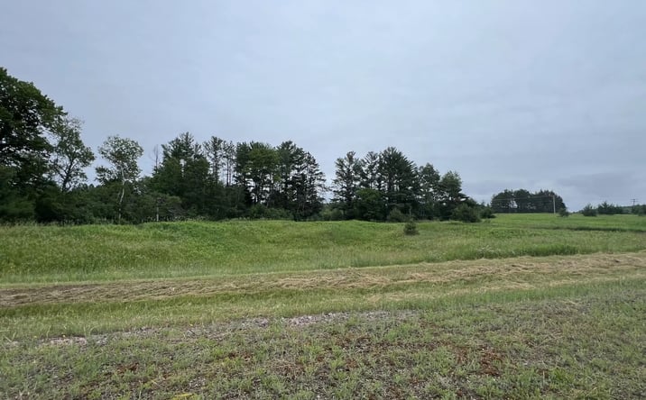 Pictures of Land property located at Lot 8 Sue Alan Dr, Wittenberg, WI 54499 for sales - image #1