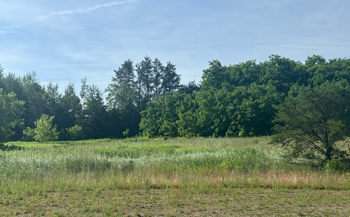Pictures of Land property located at Liberty Dr, Wittenberg, WI 54499 for sales - image #1