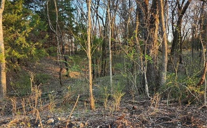 Pictures of Land, Special Purpose property located at 62 S Linn Valley Drive, Linn Valley, KS 66040 for sales - image #1