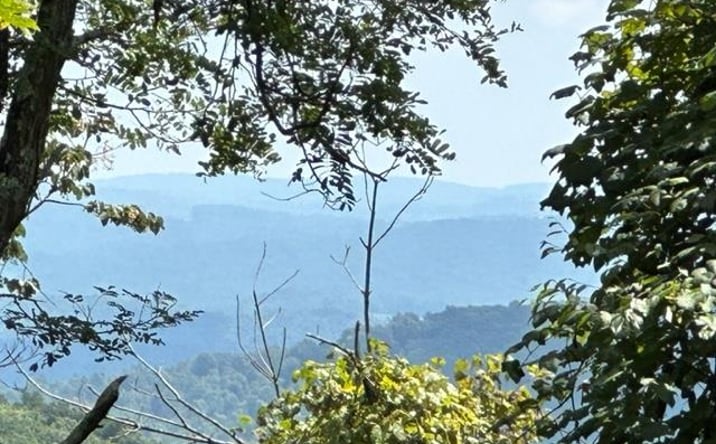 Pictures of Land, Multifamily property located at TBD Black Rock Mountain Ln., Independence, VA 24348 for sales - image #1