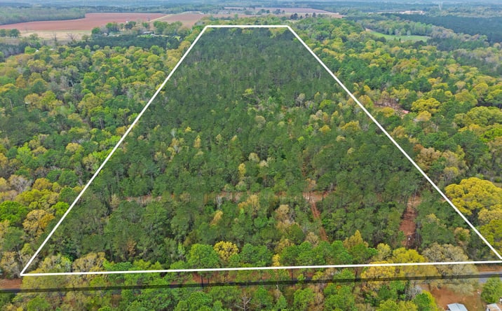 Pictures of Land property located at 0 Tom Shivers Rd, Flomaton, AL 36441 for sales - image #1