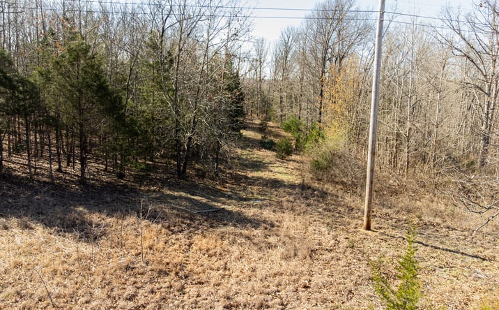 Pictures of Land property located at 10540 Arlington Rd, Newburg, MO 65550 for sales - image #1