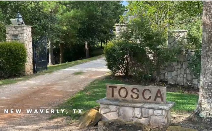 Pictures of Hospitality, Mixed Use, Land property located at 231 Hostetter Rd, New Waverly, TX 77358 for sales - image #1