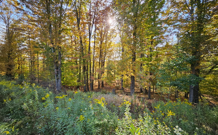 Pictures of Land property located at Emmert Rd, Saint Marys, PA 15857 for sales - image #1