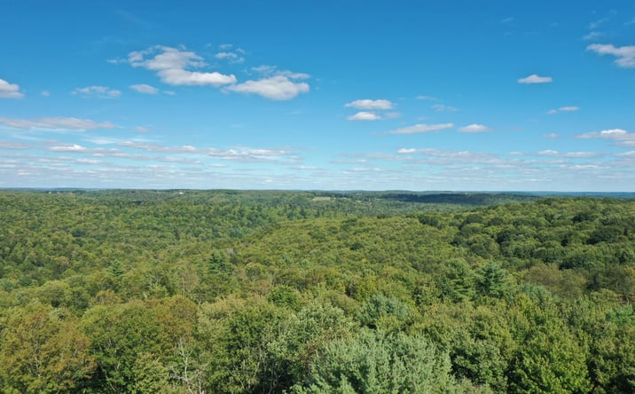 Pictures of Land property located at Hull Hill Rd, Youngsville, PA 16371 for sales - image #1