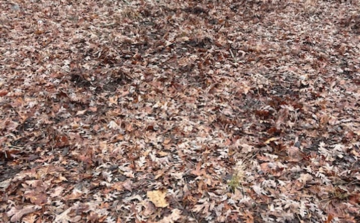 Pictures of Land property located at 3795 Buford Dr, Buford, GA 30519 for sales - image #1