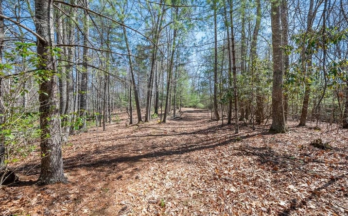 Pictures of Land, Multifamily property located at Lot 12 Ridge Line Trail, Independence, VA 24348 for sales - image #1