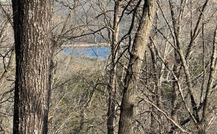 Pictures of Land property located at 190 Edgewater Rd, Eureka Springs, AR 72631 for sales - image #1