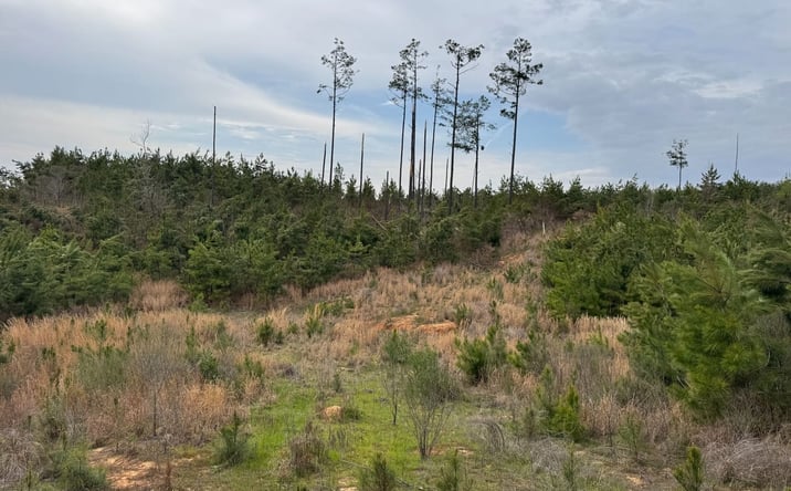 Pictures of Land property located at County Road 94, Grenada, MS 38901 for sales - image #1