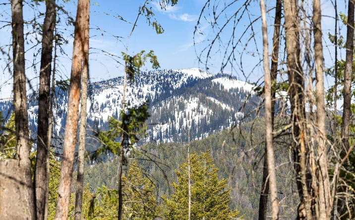 Pictures of Land property located at 310 Rolling Ridge Drive, Kalispell, MT 59901 for sales - image #1