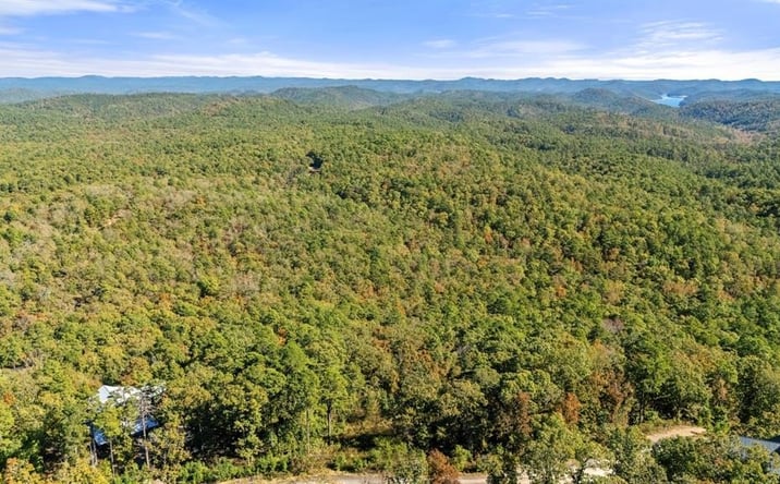 Pictures of Land property located at 138 Vista Del Lago Trl, Broken Bow, OK 74728 for sales - image #1