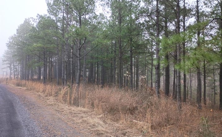 Pictures of Land property located at 460 Timberline Trail, Broken Bow, OK 74728 for sales - image #1