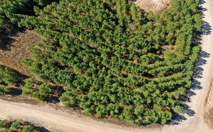 Pictures of Land property located at 293 Legacy Vis Trl, Broken Bow, OK 74728 for sales - image #1