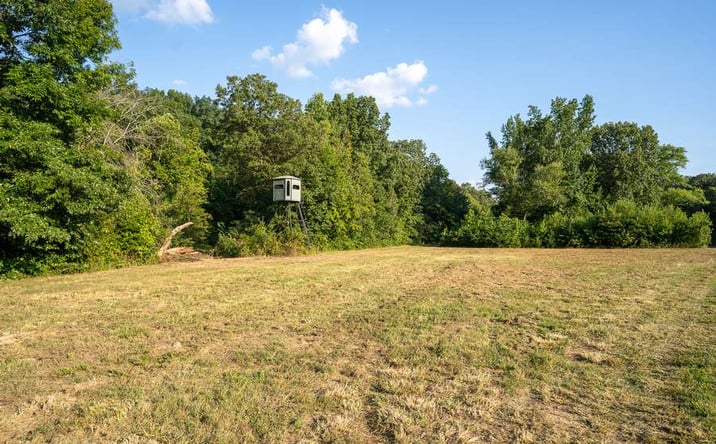 Pictures of Land property located at 0 County Rd 530, Williamsville, MO 63967 for sales - image #1