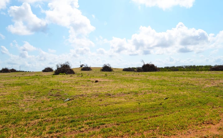 Pictures of Land property located at Garfield Nursery Road, Lake Wales, FL 33827 for sales - image #1